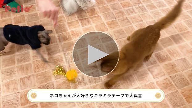 キラキラ⭐️　　花＆猫 Amazon | ペティオ (Petio) 猫用おもちゃ キラキラパレード